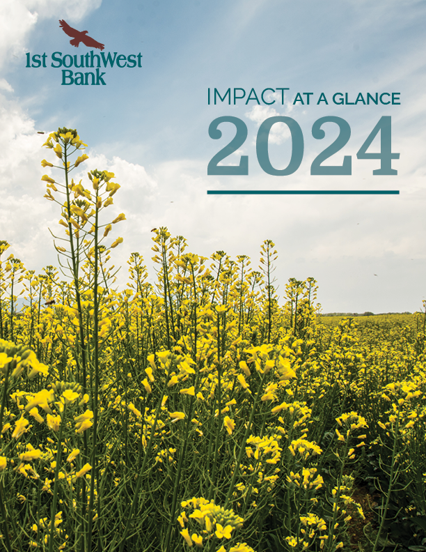 2024 Impact Report cover